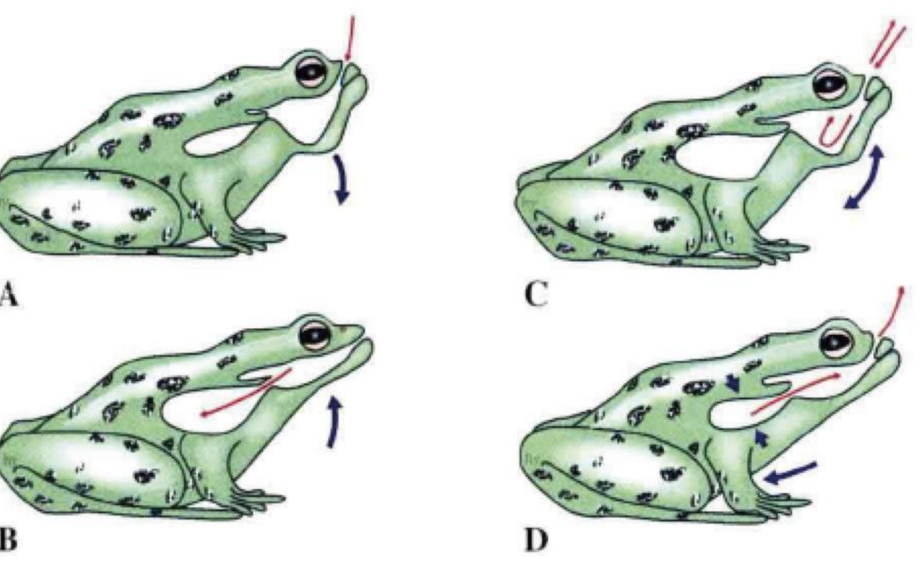 image-20250618234726278